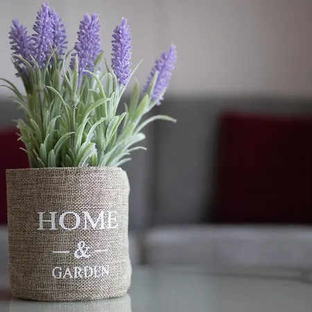 Amelia Two Bedroom - 202 Apartamento Paphos