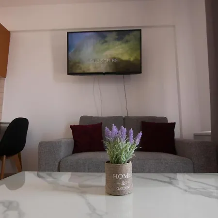 Amelia Two Bedroom - 202 Apartment
