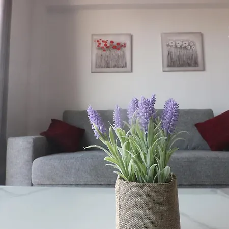 Amelia Two Bedroom - 202 Apartman